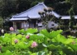 棲眞寺
