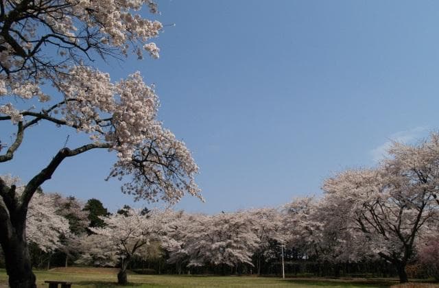 赤館公園