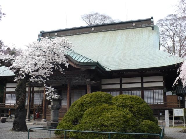 真光寺(あじさい寺)