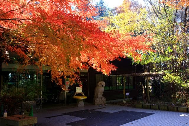 牛久自然観察の森