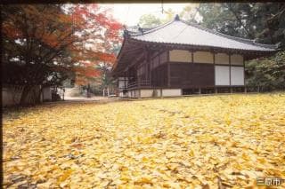 佛通寺