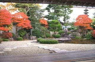 紅葉 菊屋家住宅庭園