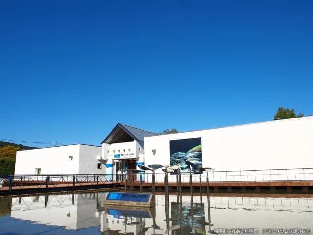 相模川ふれあい科学館 アクアリウムさがみはら