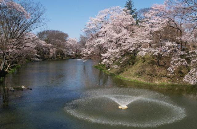亀ケ城公園(棚倉城跡)