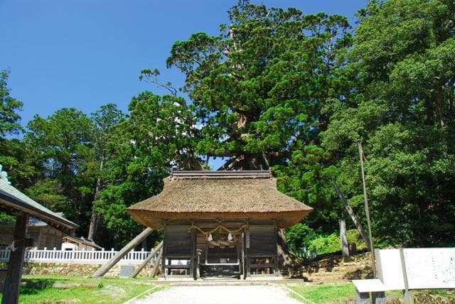玉若酢命神社