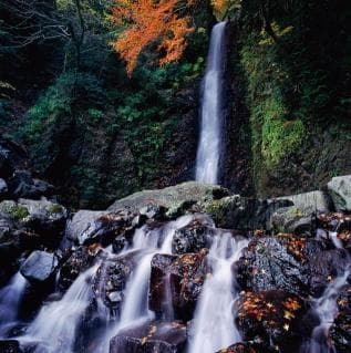 養老の滝(秋)