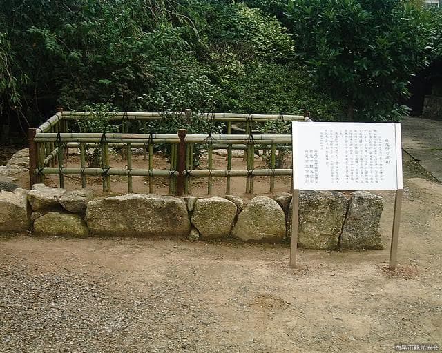 紅樹院(西尾茶の原樹)