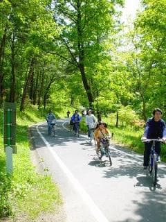 サイクリングコース