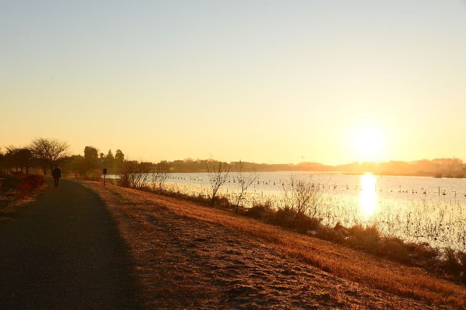 館林市 朝陽の小径 初日の出