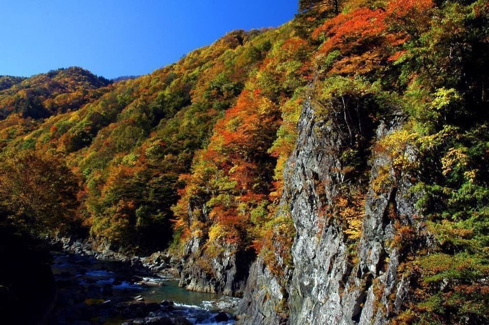 中津川渓谷(秋山郷)の紅葉