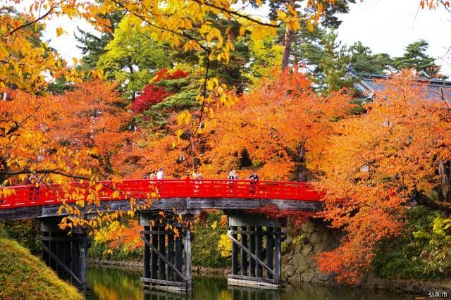菊と紅葉まつり