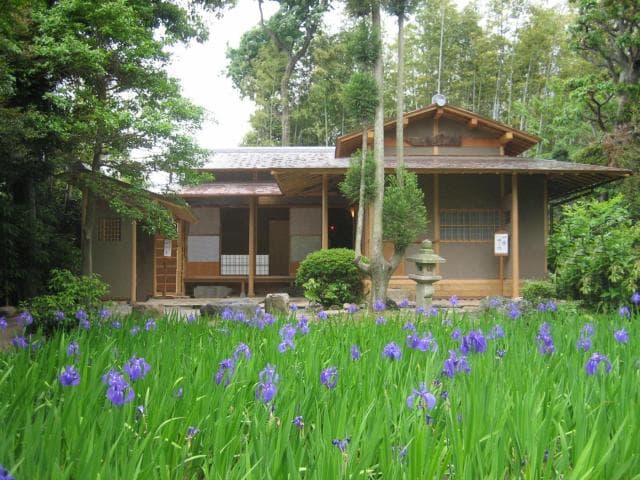 かきつばたと茶室