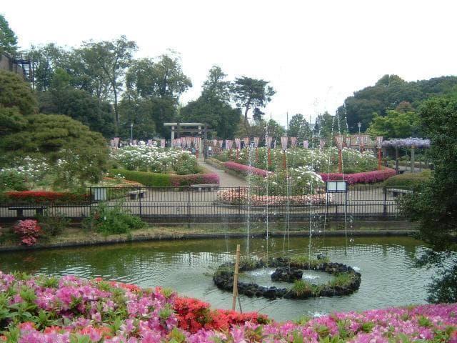 箭弓稲荷神社ぼたん園