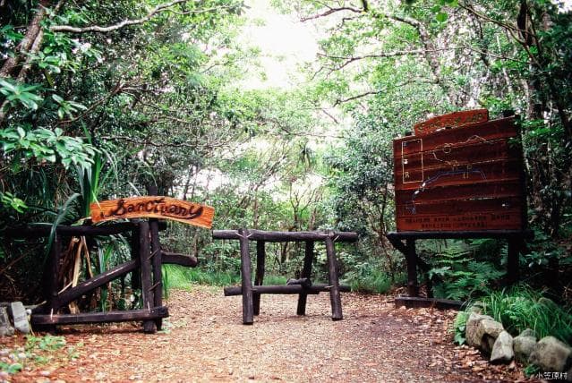 東平アカガシラカラスバトサンクチュアリ