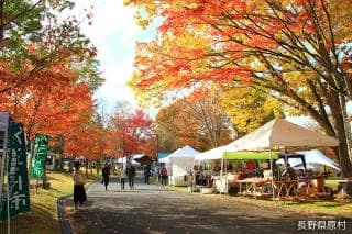 八ヶ岳クラフト市・秋