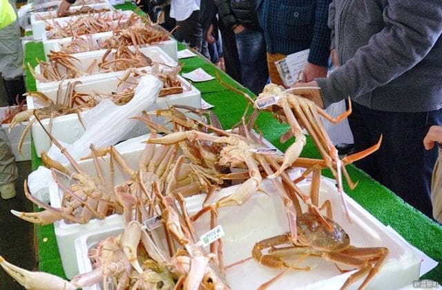 浜坂みなとカニ祭り