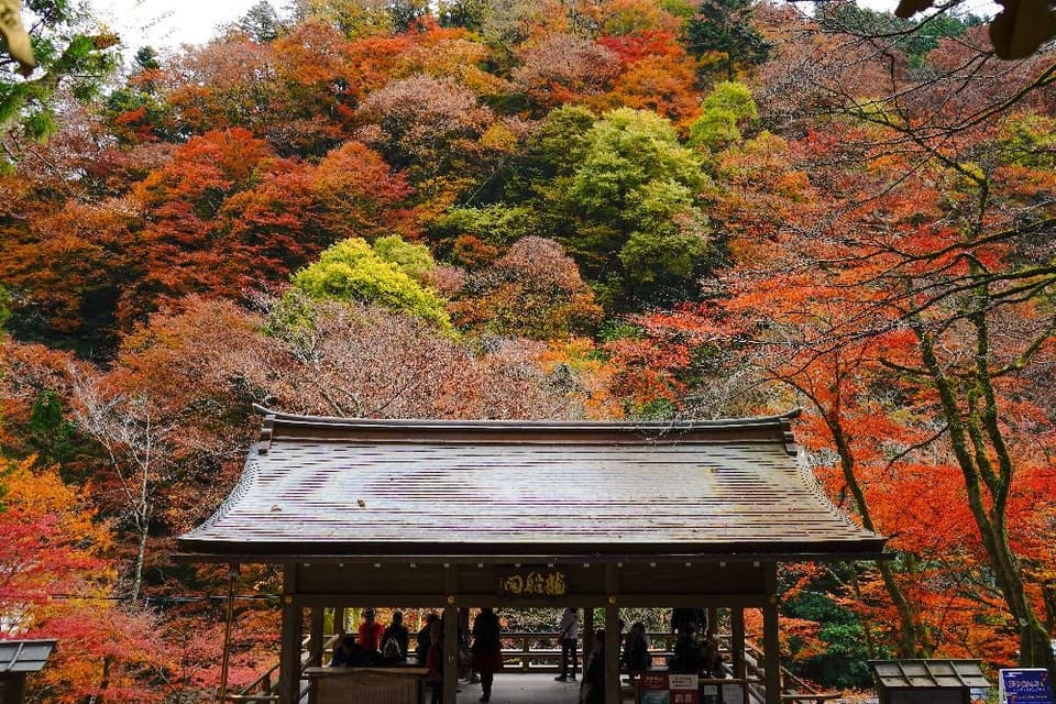 洛北(貴船神社)の紅葉