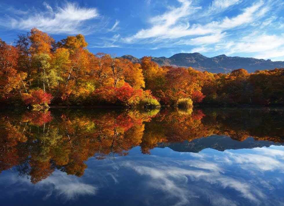 10月中旬に見頃を迎える鎌池の紅葉。