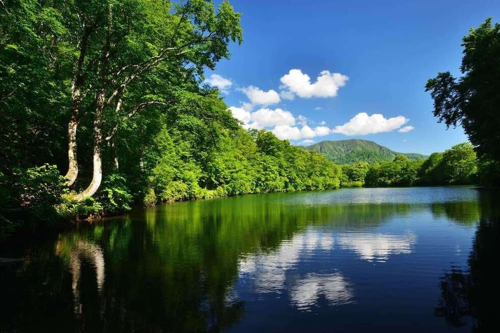 一周2kmの遊歩道があり、周りをブナの木などに囲まれた静かな雰囲気の中で散策が楽しめます。池にはフナ、マスなどがいるが、池の主は大きな鯉だとか?