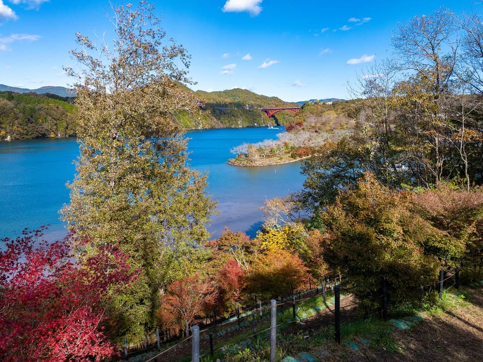 恵那峡県立自然公園の紅葉